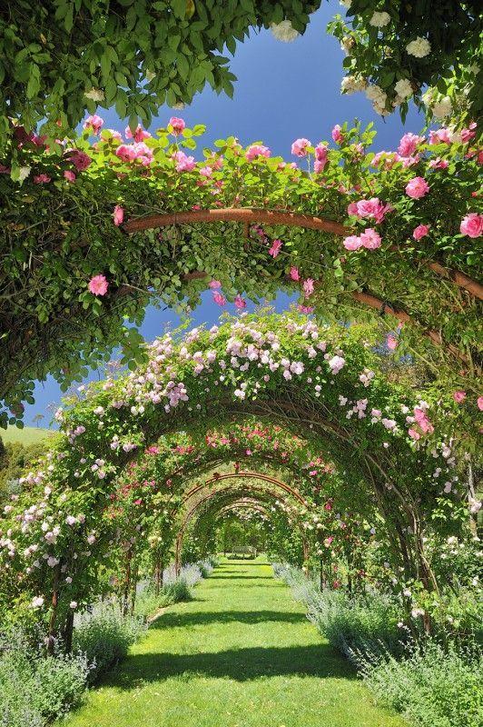 Eternal Elegance: Timeless Floral Array
