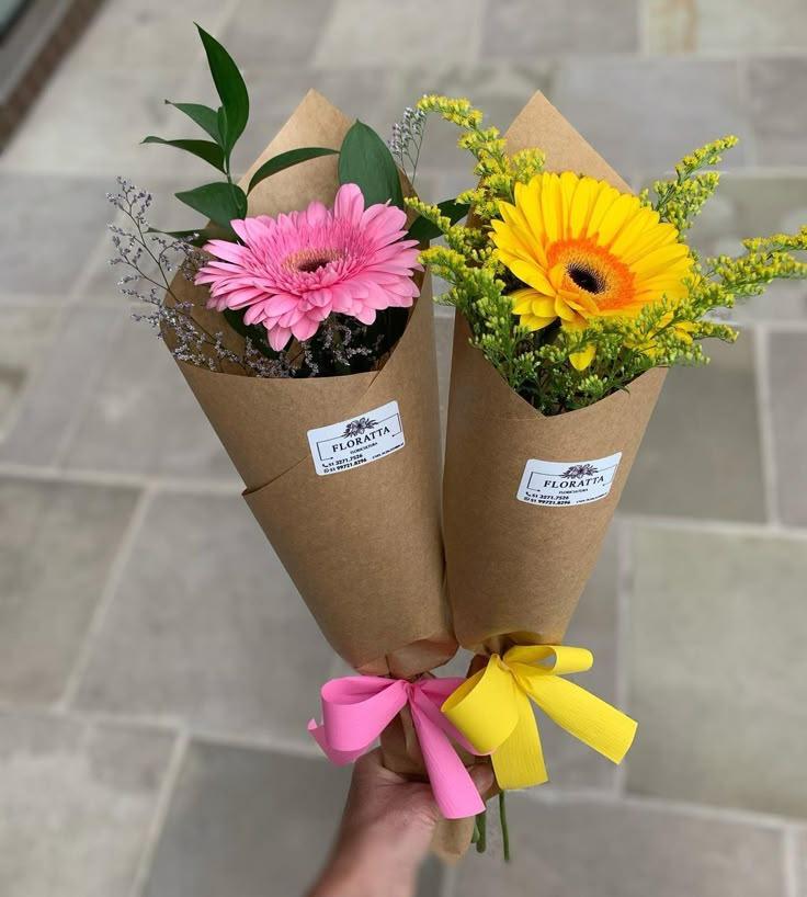 Secret Garden's Embrace: Alluring Blossoms